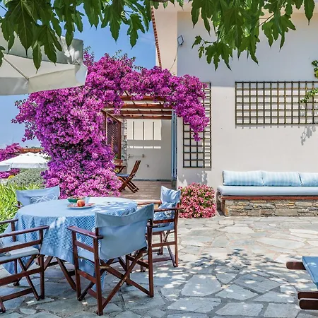 Elies * Αγνώντας